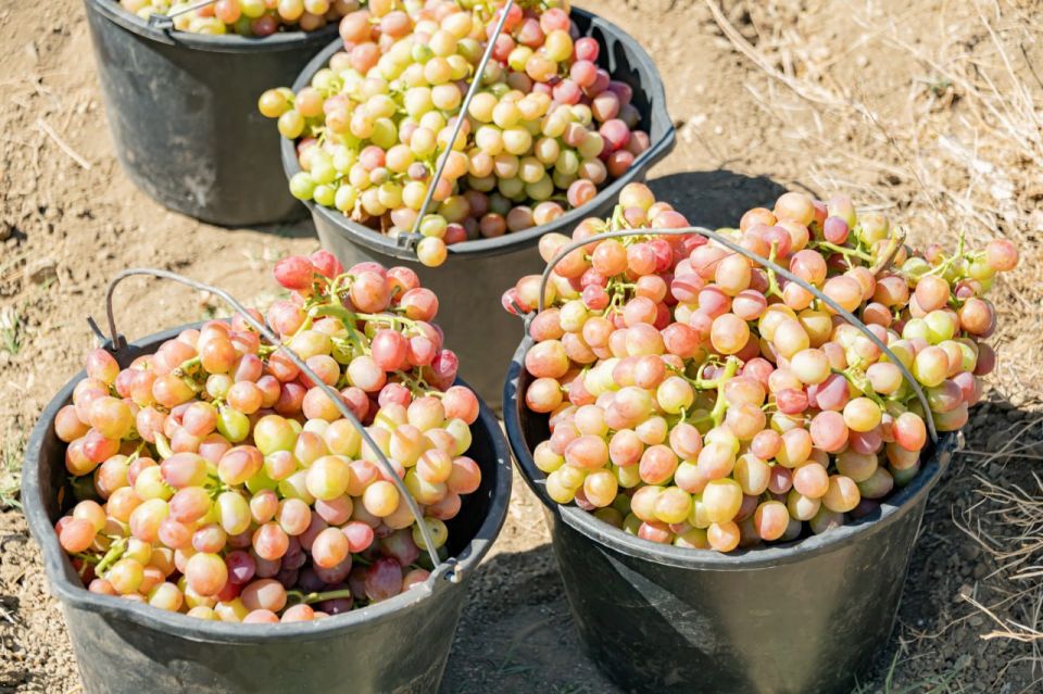 � ����������� �������� ������� ������ � ������ ����� ���������