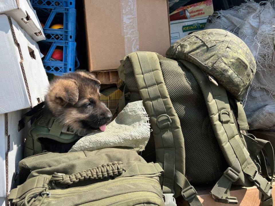 ������������ ������ ����������� ���������� ������ ����