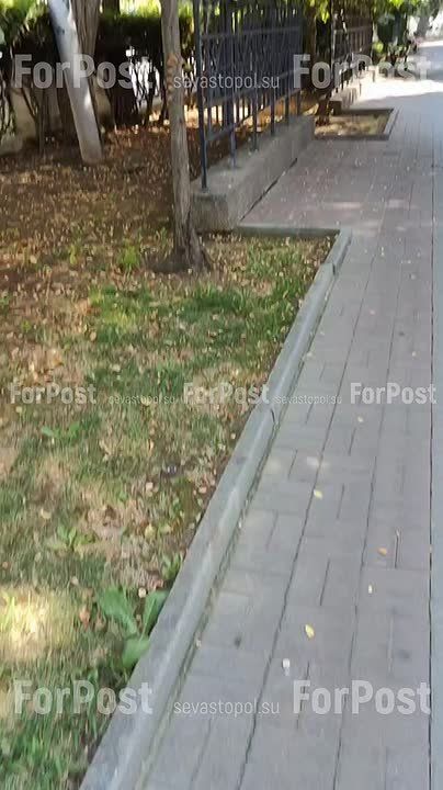 #Нам_пишут. Была на Приморском бульваре в Севастополе всегда красивая и оживлённая Аллея художников