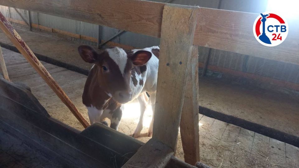 ��������� ������������ ����� �� ��������������� �������� ����� �������� 44 ���� � ������ ����