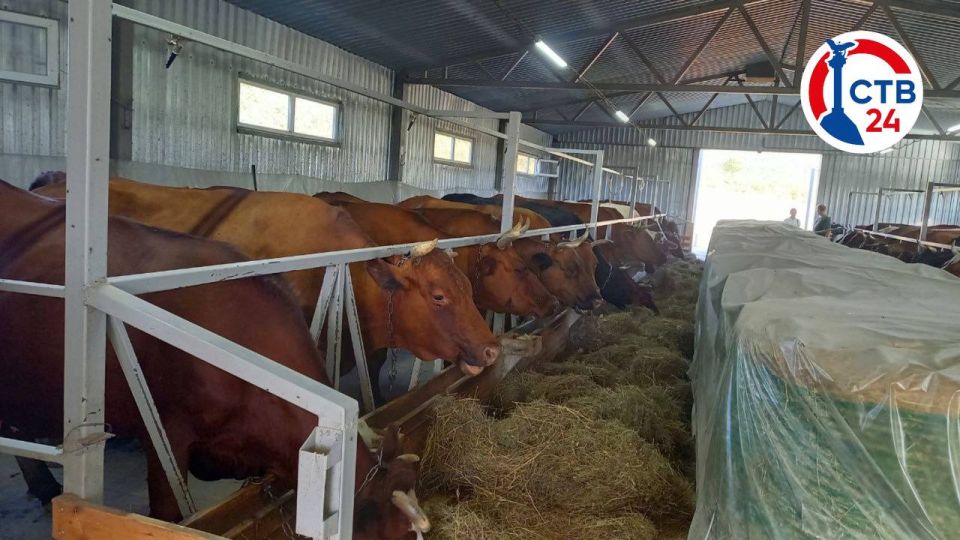 ��������� ������������ ����� �� ��������������� �������� ����� �������� 44 ���� � ������ ����