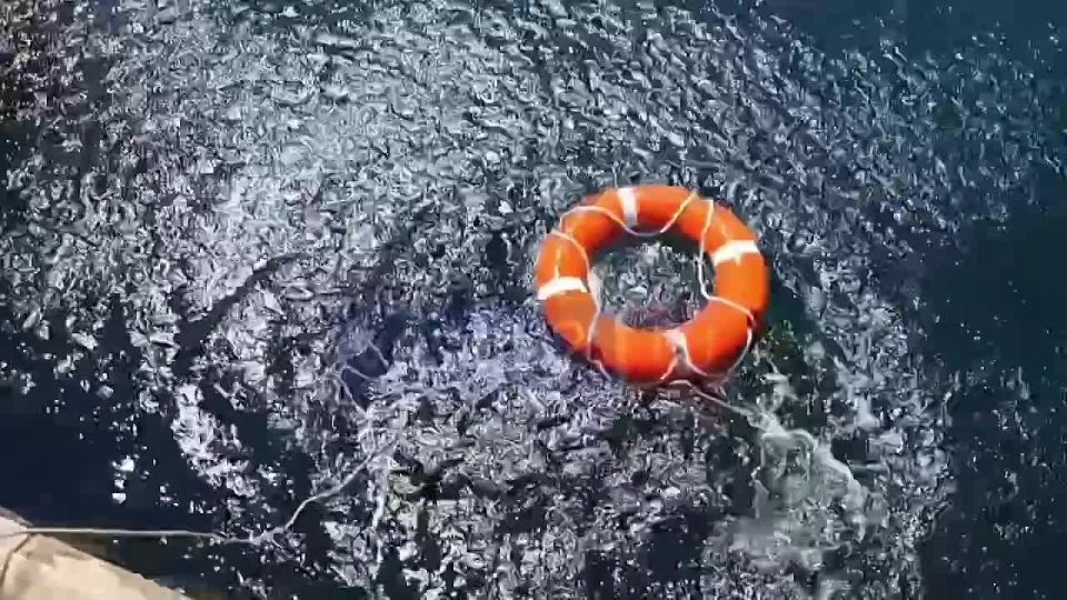 ������ ����, �����������!. ��������� ������� ��������� ������