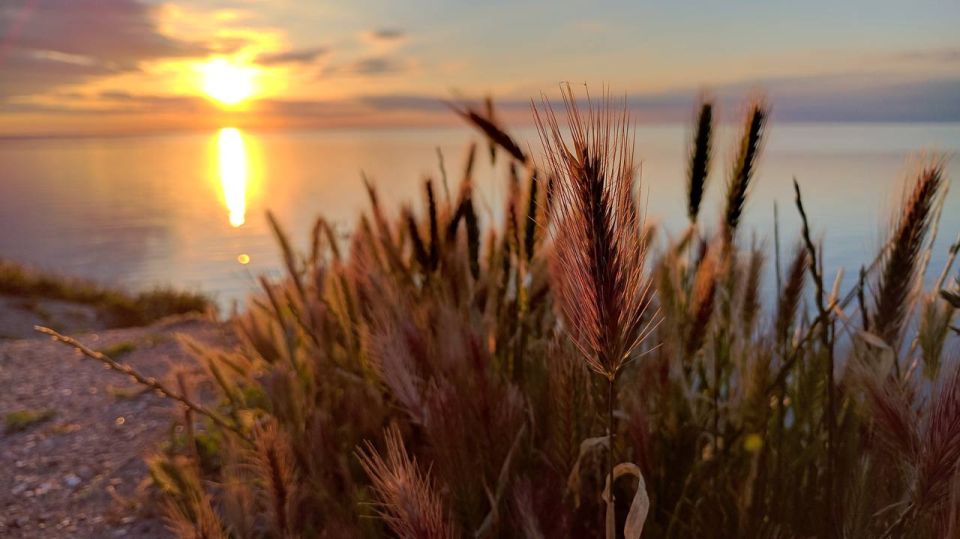 � ����������� ��������� ������������ �������� ���������