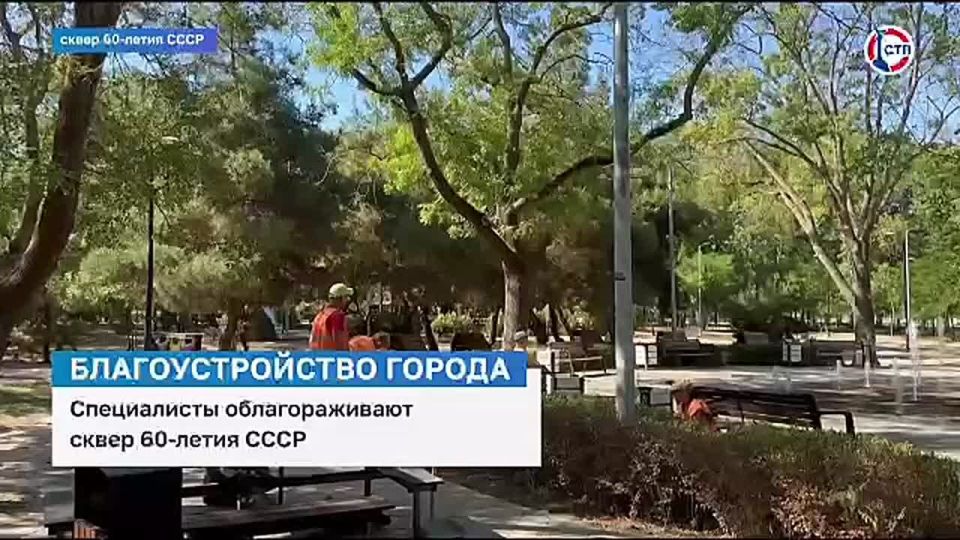 На одной из крупнейших зелёных зон Севастополя провели работы по уходу за растениями
