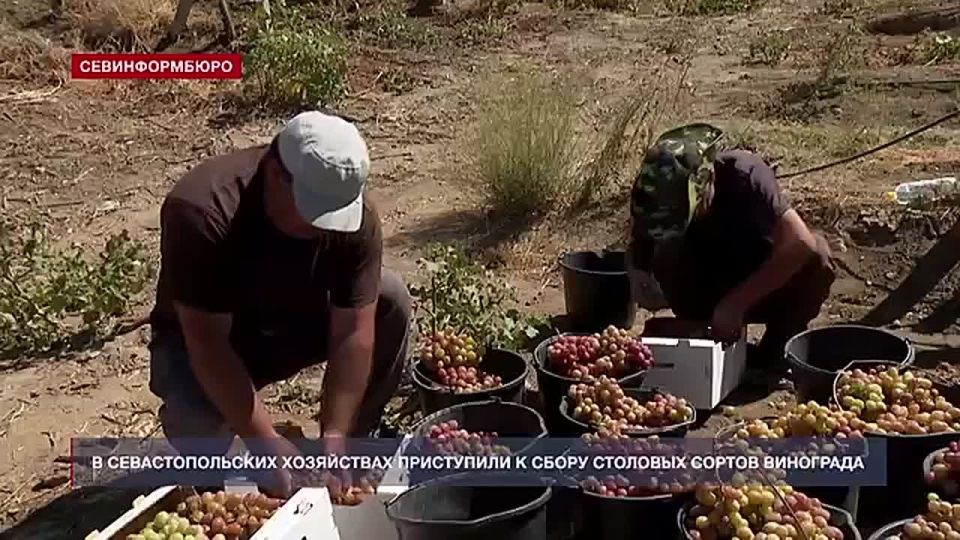 ��������� ��������� � ����������� ������� ������