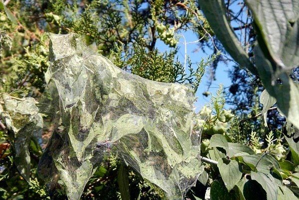 �������� �������! ��������� ���!