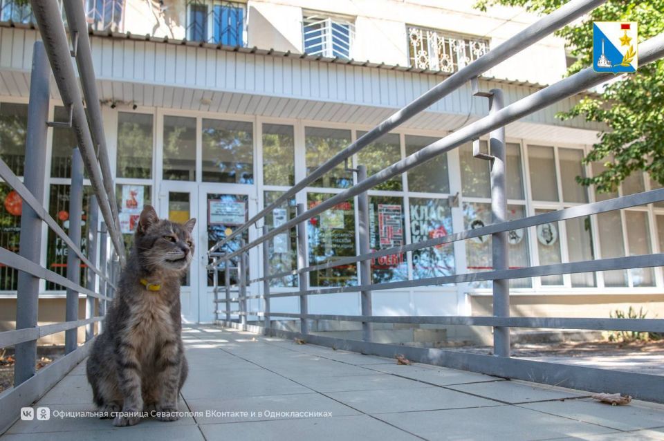 Михаил Развожаев продолжает рабочие поездки по городу Михаил Развожаев продолжает рабочие поездки по городу