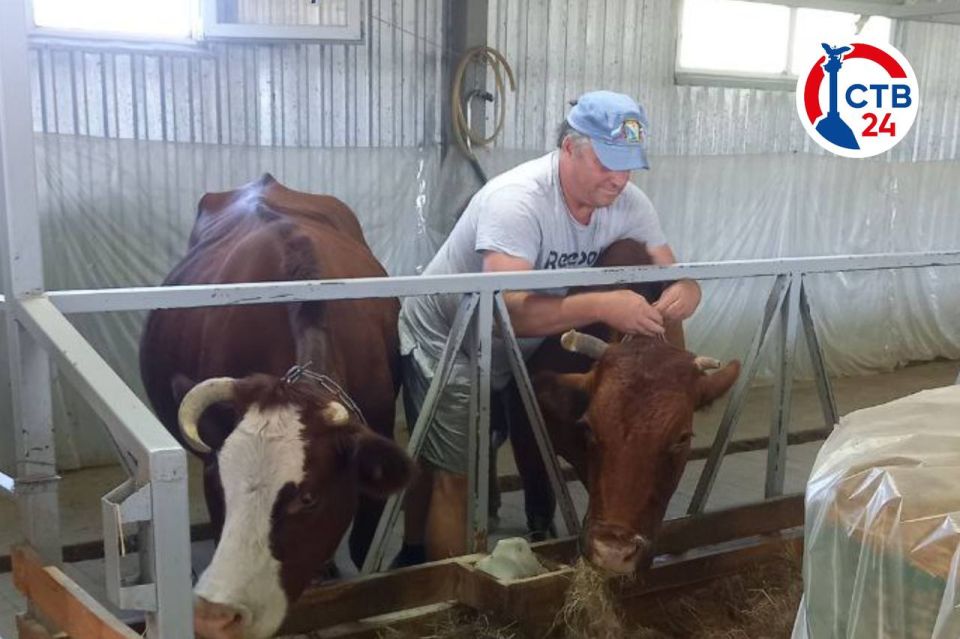 ��������� ������������ ����� �� ��������������� �������� ����� �������� 44 ���� � ������ ����