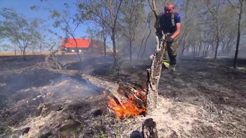 ����� � ��������������� ������ � ������ �������� ����������� �� 40 �� � ���