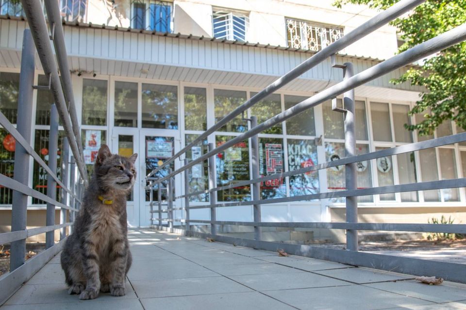 Как и обещали — краткие итоги поездки губернатора в Ленинский район Как и обещали — краткие итоги поездки губернатора в Ленинский район