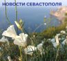 Михаил Развожаев: Итоги минувшего дня:. В Севастополе — перебои в работе мобильного интернета, обусловленные требованиями безопасности