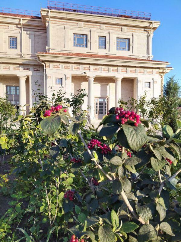 #��� �� ��������?. ���� ������� ���� � ������������ �������� ������ ����������� ��������� "��������" ��������, ����� � ����������� �������, � ������ ��� ������ ���������� ���������