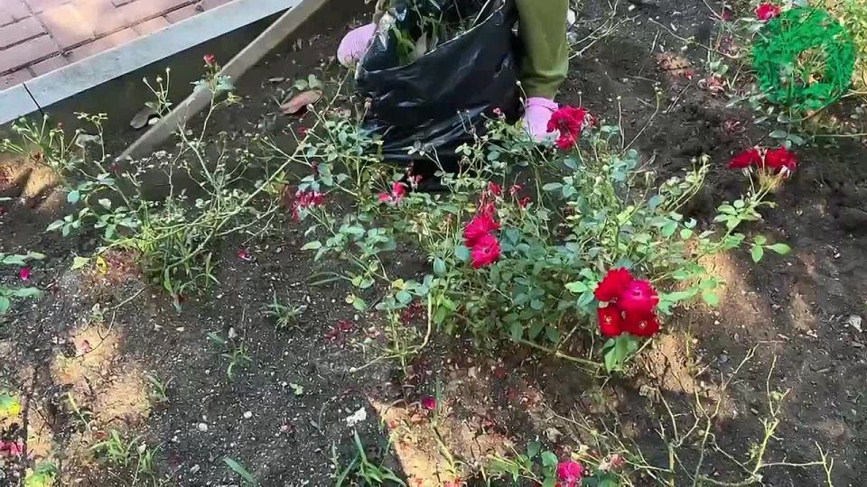 ������ � ������� ��������, ��� ��������� �� �������� � ������ �����������