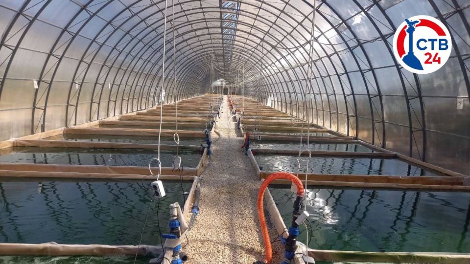 � �������� ��������� �������� ����� ����� ���������� ���������