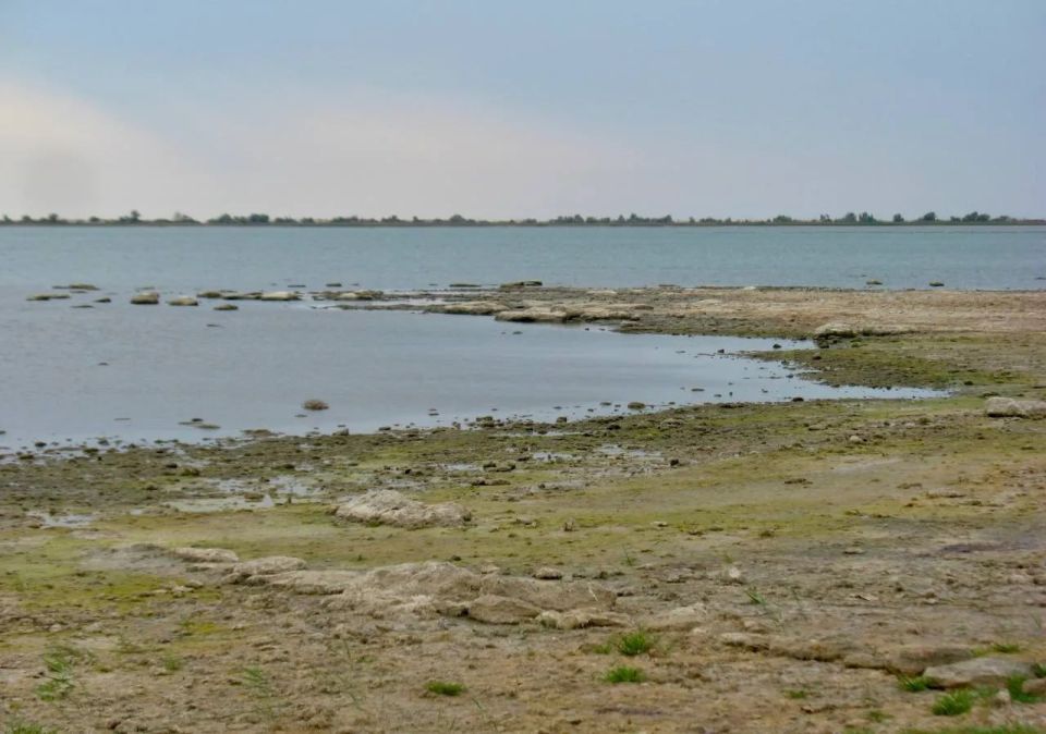 В Крыму зафиксировали усыхание гиперсолёных озёр