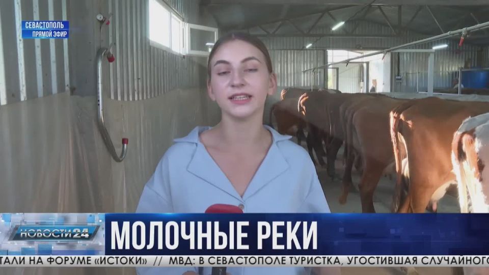 Молока много не бывает. В Севастополе кратно увеличились надои