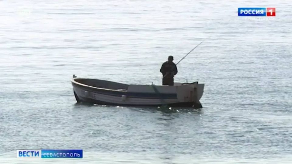 Правительство России выделило почти 150 миллионов рублей на поддержку рыбохозяйственной отрасли Севастополя