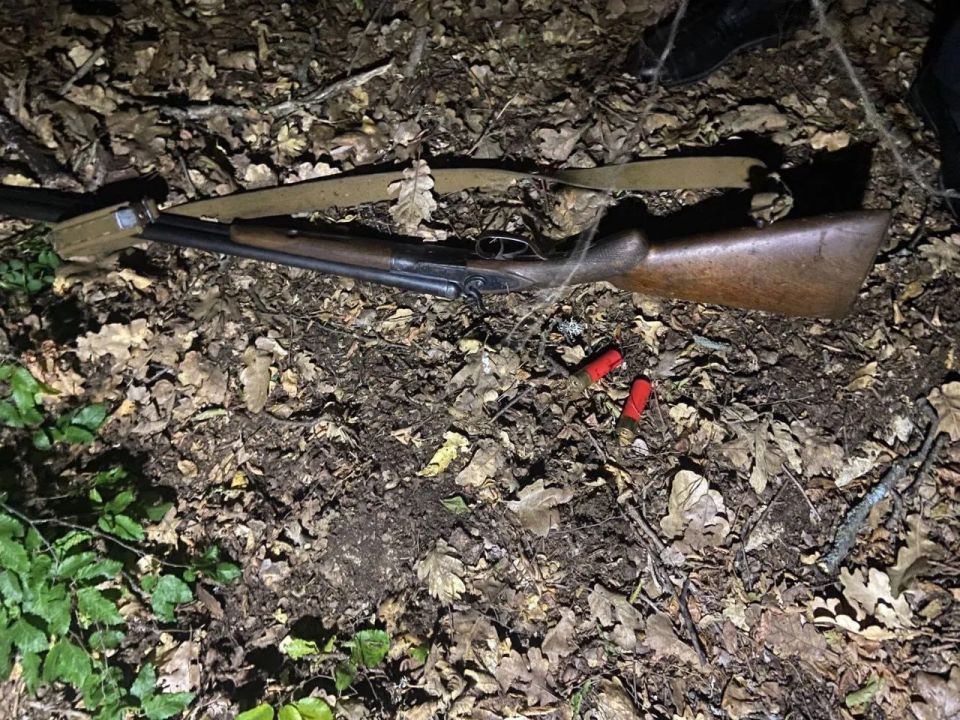 ���� ����� � �������� �����: ������������ ������� ����������� �����������