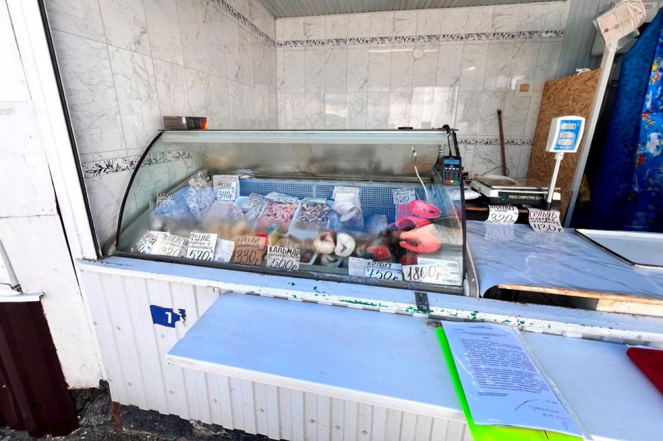 ��������������� ����������� ��������������� ����������� ��������� ���������� ���������� ���������������� � �������� � ������������ ������� ���������