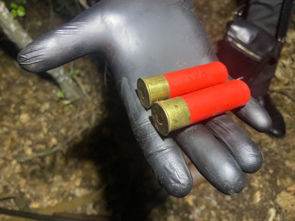 В Севастополе оштрафовали мужчину, который собирался охотиться в лесу и угрожал сотруднику Севприроднадзора