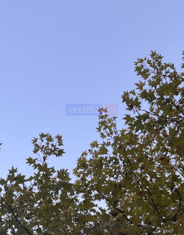 Доброе утро, Севастополь!. Синоптики обещают солнечную погоду