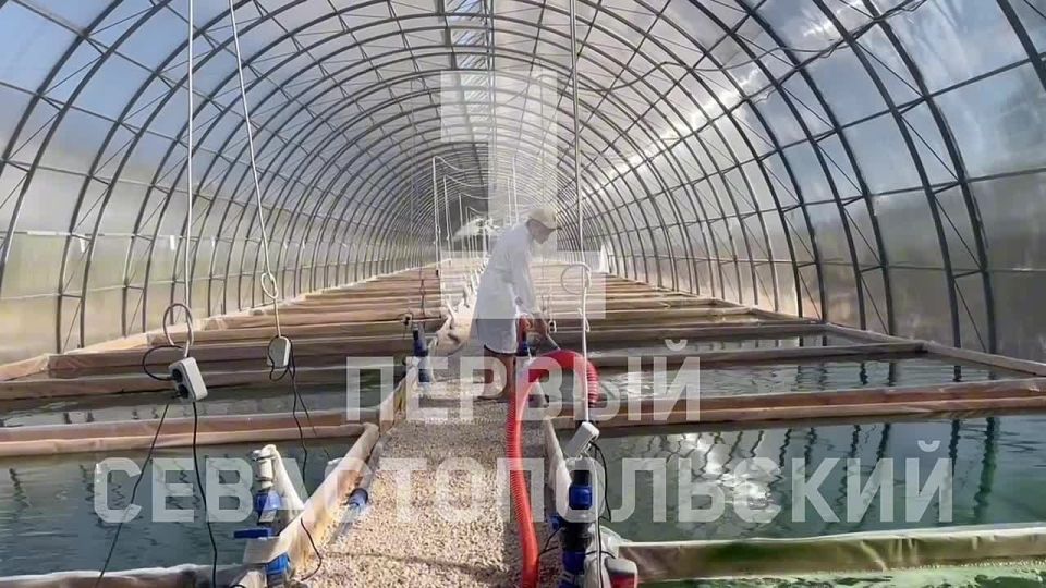 � ����������� ��������� ������� ������� �� 1 ����� ���������