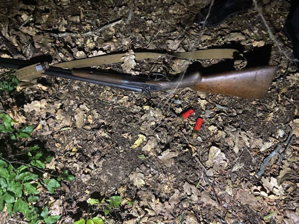 � ����������� ����������� �������, ������� ��������� ��������� � ���� � ������� ���������� ����������������