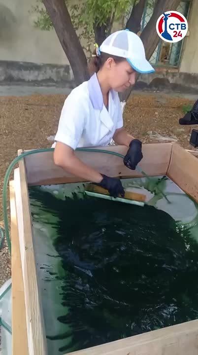 � �������� ��������� �������� ����� ����� ���������� ���������