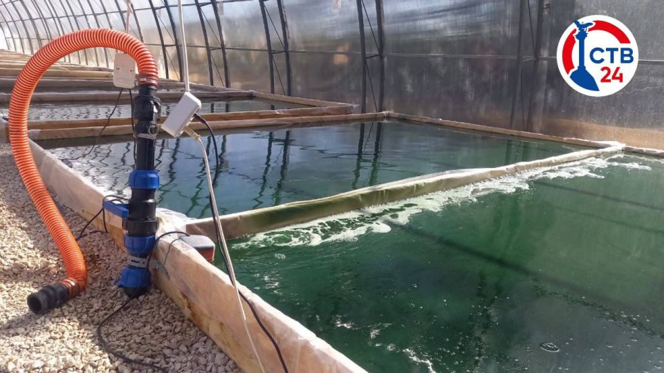 � �������� ��������� �������� ����� ����� ���������� ���������