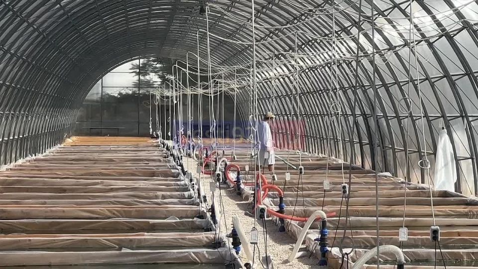 ������ ��� ������ � ����������� � ������������ �������� ���������� ���������