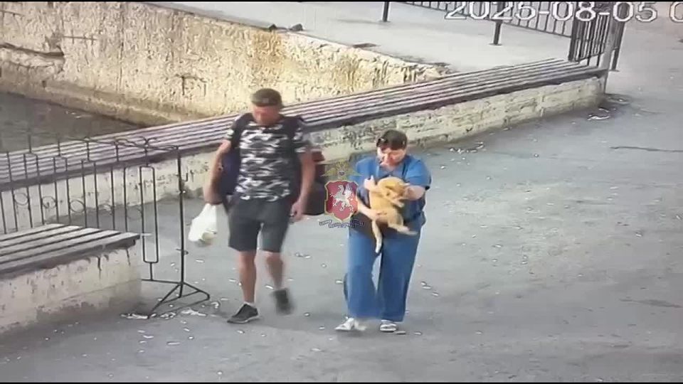 �������� � ����������� �������� ����� � ���������� ����� �������� ����������