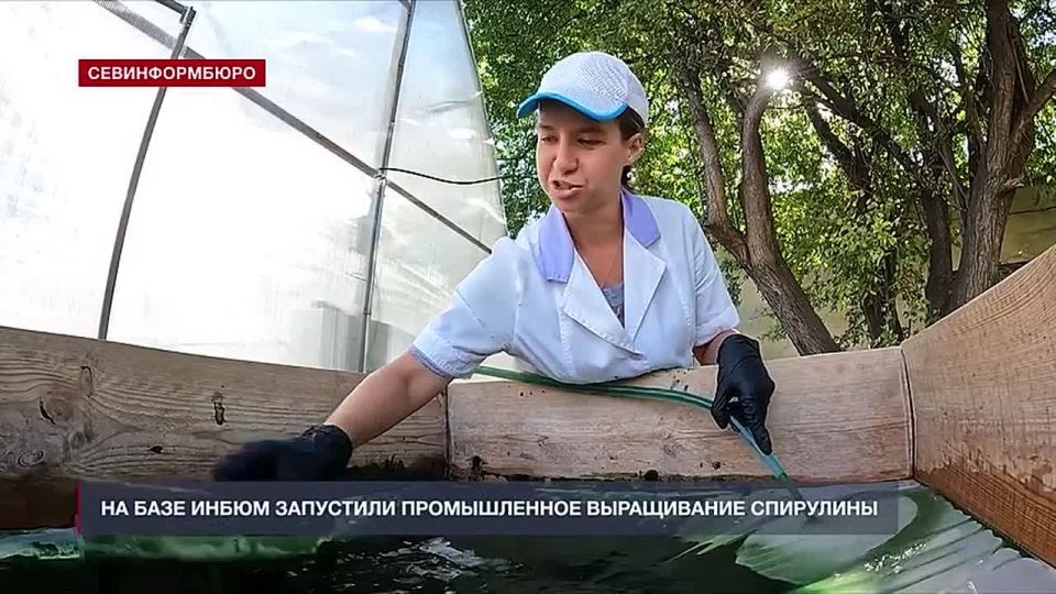 ����� �� �����: �� ���� ����� ��������� ������������ ����������� ���������