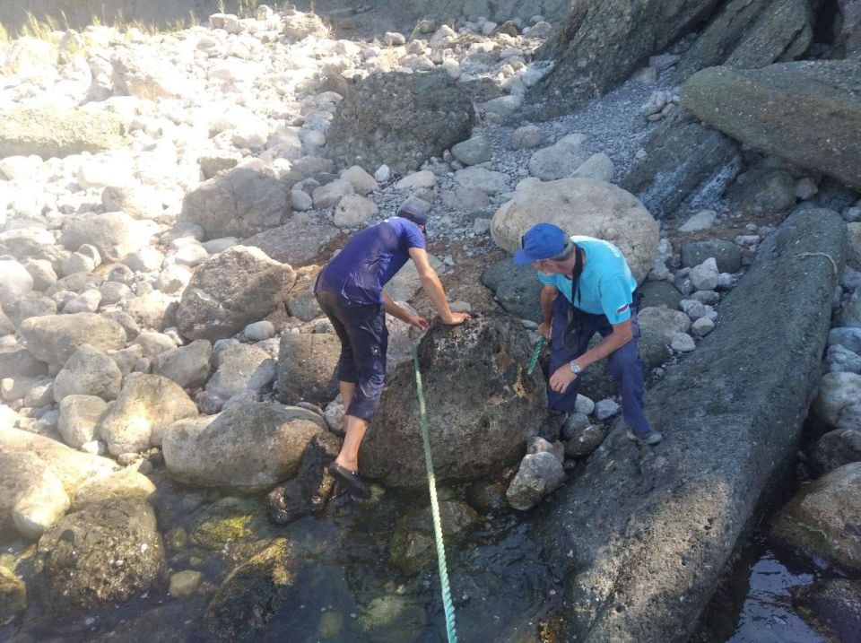 � ����� ���������� ��������� ������������ ������� � ������� ����