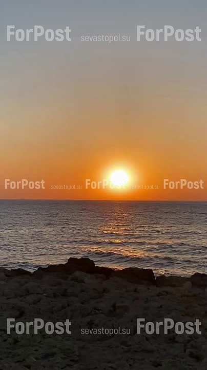 ��� ���� ���������� ������ ����� � �����������