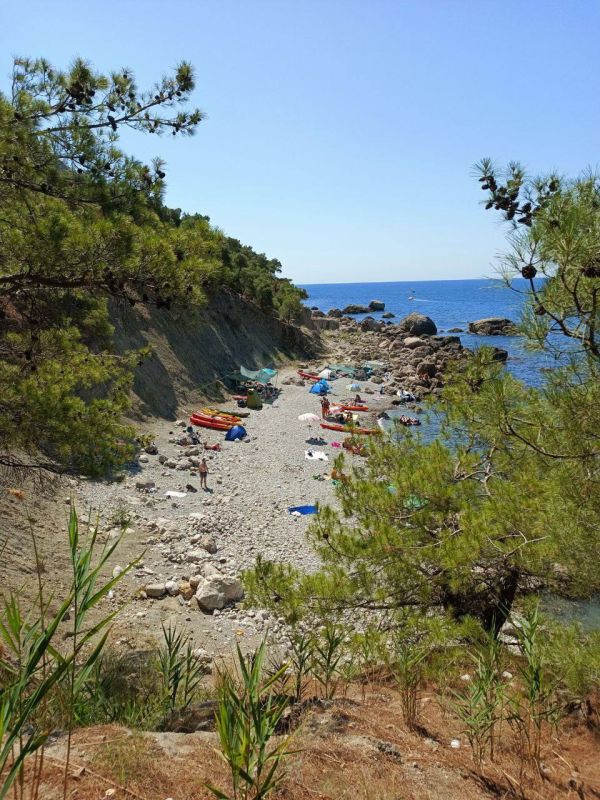 ���� ������������� � �� �������� ���������� ����������� ������� ������� ������