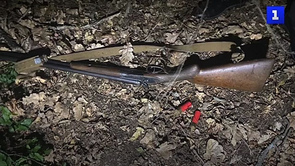 ������������ �������� ����� 50 000 ���