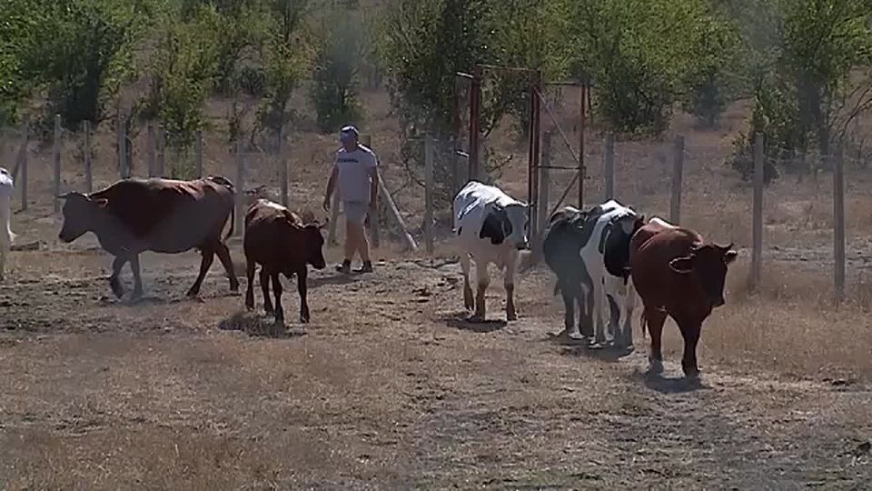 ������, ������ � �����: ��� � ���������� ������ ����������� ���������� ���������