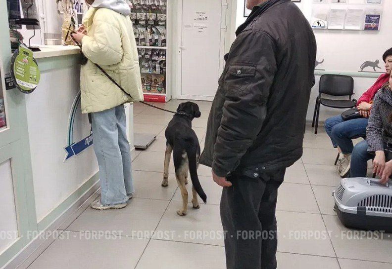 ��������������� ���������� �� ���������, 9, � ����������� ��������� �������� ��������� ��-�� �������� ������