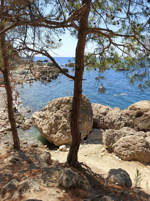 ���� ������������� � �� �������� ���������� ����������� ������� ������� ������