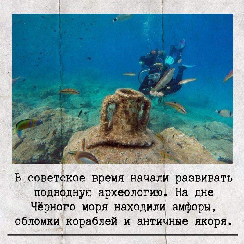 ��� ����������� ���������� � �����������?