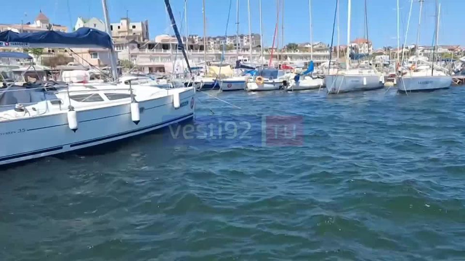 Начинается финальный этап Кубка Севастополя по парусному спорту