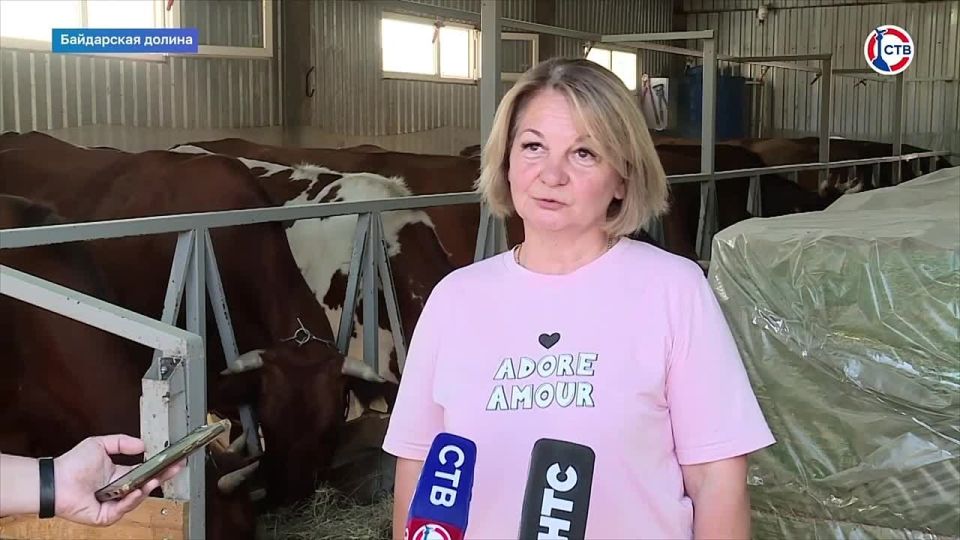 Благодаря господдержке на севастопольской молочной ферме увеличивается производство