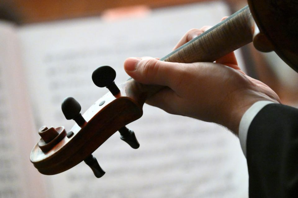 Для Академии хореографии в Севастополе закупят дополнительные музыкальные инструменты