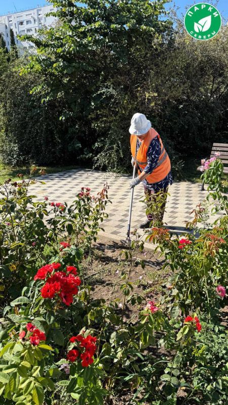 ����������� ������� � ������� ������� ������� � �������� ��� � ������� ������ � ����������� �������������