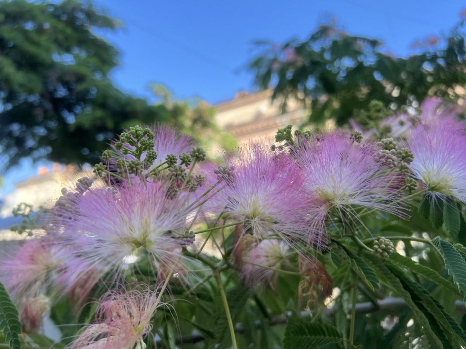 ������� ����, �������������!