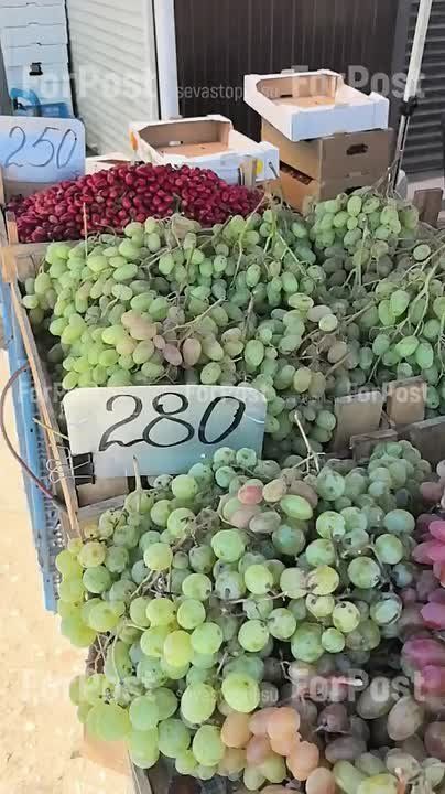Актуальные цены на виноград на рынке "Чайка"