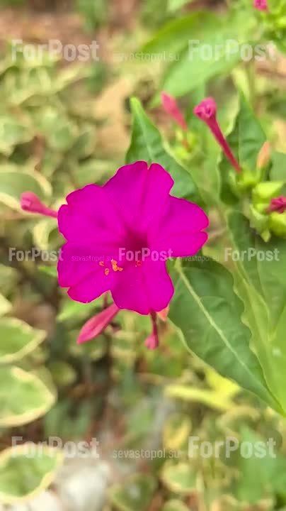 ������ � ����������� �� ��������: ��������, ����� � ���������