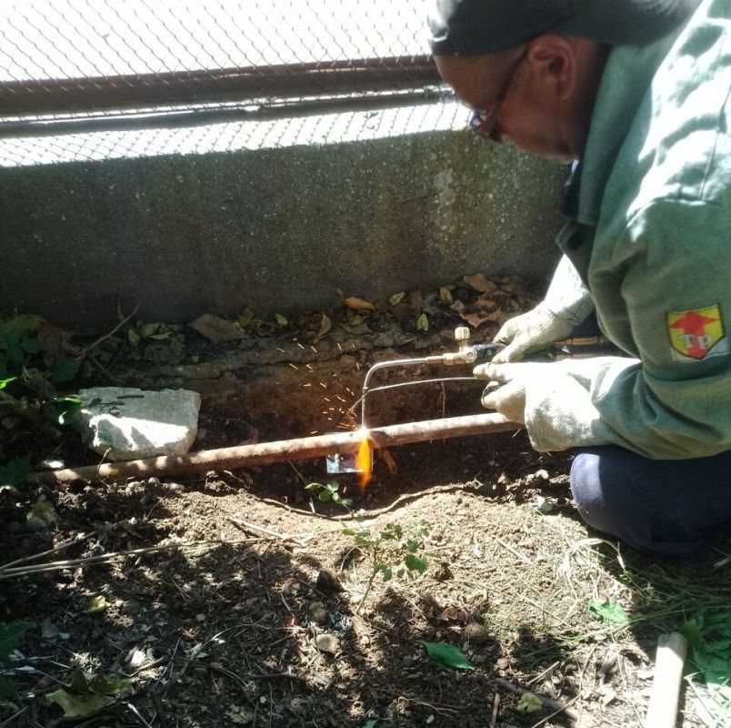 ���������: ������� �������. ��������� ������ �� ����� �������������