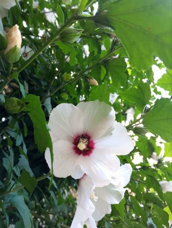 Доброе утро, Севастополь!. В Севастополе 17 августа без осадков