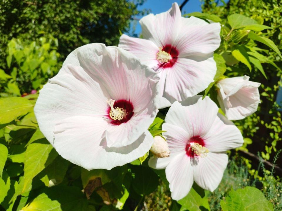 Прогноз погоды в Крыму на 17 августа